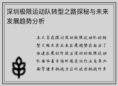 深圳极限运动队转型之路探秘与未来发展趋势分析